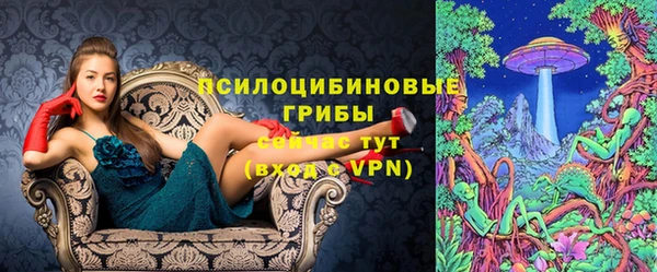 твердый Инта