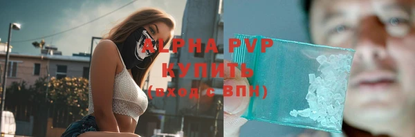 прущий лед Инсар