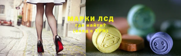 прущий лед Инсар