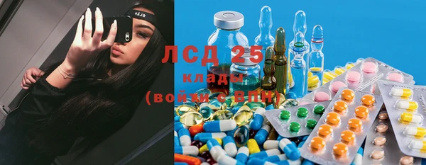 прущий лед Инсар